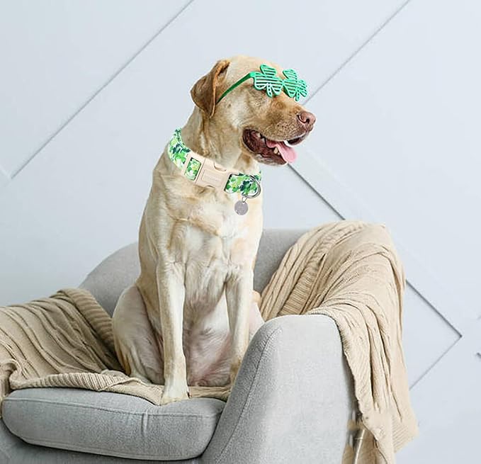 DOGWONG St. Patrick's Day Dog Collar, Green Lucky Clover Shamrock Green Dog Collar Soft Durable Adjustable Costume St. Patrick's Day Lucky Charm Puppy Collar for Small Medium Large Dog