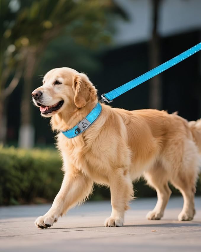 Joytale Dog Collar for Extra Large Dogs, Neoprene Padded and Adjustable, Reflective Wide Heavy Duty Pet Collars with Durable Metal Belt Buckle for Walking, Sky Blue, XL