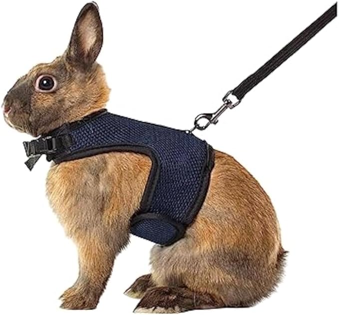 MANON ROSA Rabbit Harness and Leash Set - Adjustable Escape-Proof Training and Walking Gear for Guinea Pigs Bunnies Chinchillas Hamsters Ferrets Rats Kittens and Small Dogs Puppies Cats (Black,L)