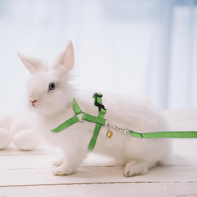 Hypeety Rabbit Bunny Harness with Leash Adjustable Soft Nylon Harness Rabbit Vest Harness Lead Leash Pink Blue Lead Leash All Season for Small Animals (Green)