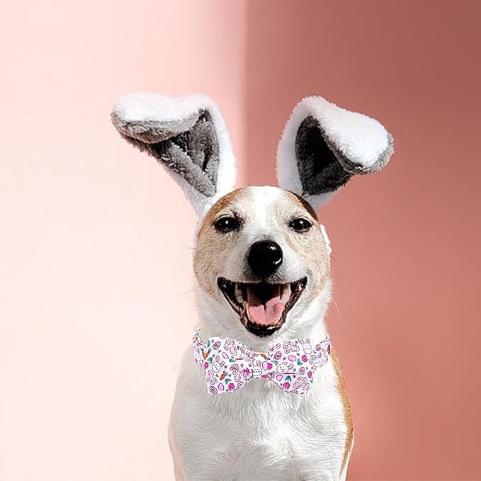 Lionheart glory Dog Bow Collar Easter Day Dog Collar for Large Dogs,Easter Rabbits Eggs Colorful Dog Collars with Bowtie Spring Bunnies Carrots Collars Pet Collar Bows