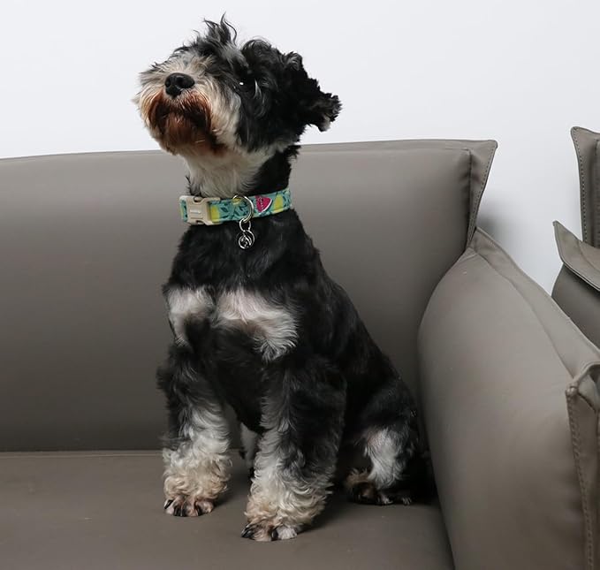 DOGWONG Cotton Dog Collar - Soft Natural Fabric Spring Summer Wedding Puppy Necklace for Small Medium Large Dogs