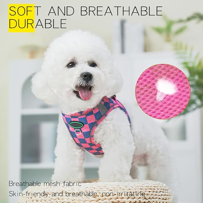 Step in Dog Harness and Leash Set, Plaid Adjustable Easy Walk Puppy Harnesses, Soft Mesh Pet Vest Harness Small Size Dog Adjustable No Pull Dog Harness for Small Medium Dogs(Blue Pink, XS)