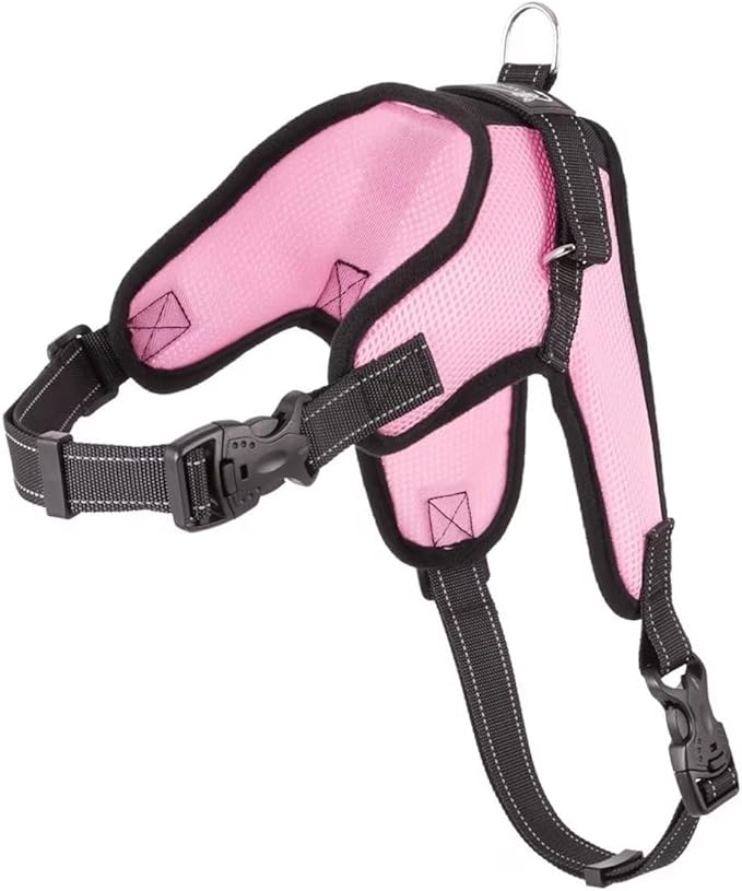 No Pull Reflective Adjustable Dog Harness with Handle- Comfortable Soft All Weather Mesh, Easy On Puppy Harness for Small Medium and Large Dogs (Pink) X-Large