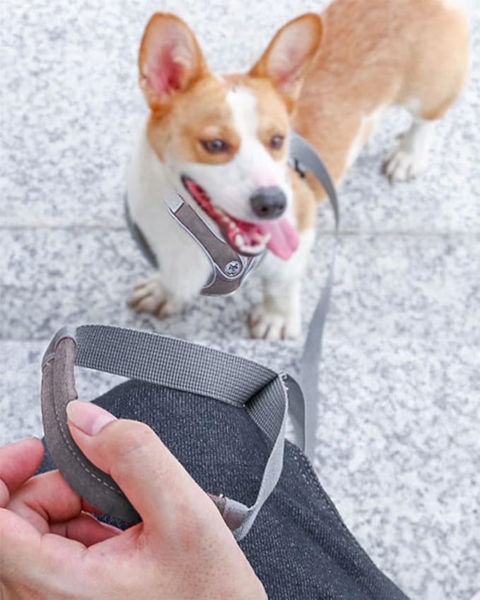 Large Dog Harness and Leash Set,No Pull Adjustable Step in Soft Mesh Vest Harness,Easy Walk Reflective Pet Harness with Padded Handle for Walking Training Small Medium Large Dogs and Cats (Grey, L)