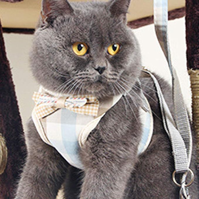 Puppy Harness and Leash Set for Walking Escape Proof Adjustable Soft Padded Mesh Front Vest Harness with Leash and Cute Bows Easy to Put On & Take Off Step in Dog Harness for Small Dogs and Cats