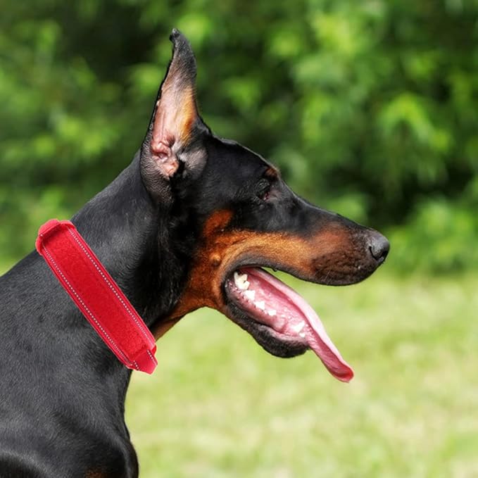 Tactical Dog Collar with Heavy Duty Metal Buckle and Control Handle for Medium Large Dogs Training(Red, X-Large)