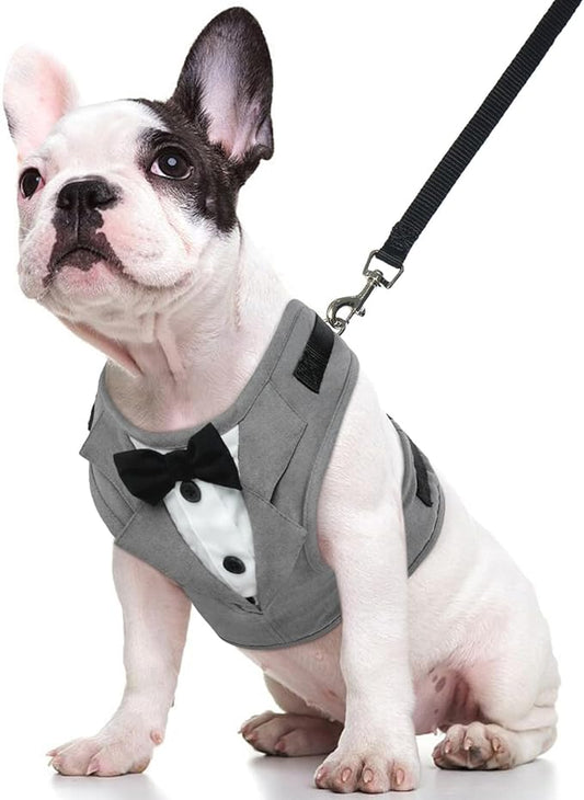 Kuoser Tuxedo Dog Harness, Adjustable No Pull for Small Medium Dogs, Wedding Suit with Bow Tie Party Costume, Gray S
