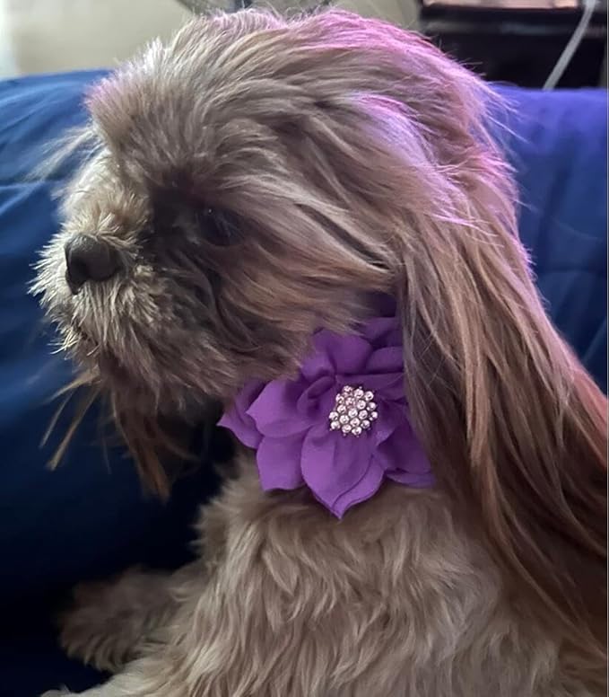 Cute Dazzling Sparkling Soft Suede Leather Dog Rhinestone Collar, Crystal Diamond Pet Dog Puppy Collar (Purple, S)