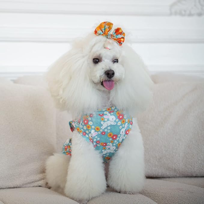 CuteBone Dog Shirts 2-Pack St.Patrick's Day & Easter Soft Pet Clothes Breathable Summer Vest for Small Puppy and Stretchy Cat Apparel 2BX12M