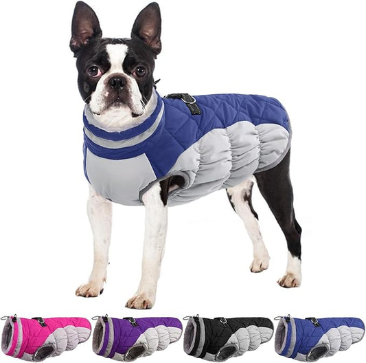 Dog Coats for Small Dogs, Puppy Coat, Warm Winter Jacket, XS Dog Coat with Harness Built in, Waterproof Pet Cold Weather Coats, Puppy Winter Clothes Snowsuit Chihuahua Maltese,Blue,XS
