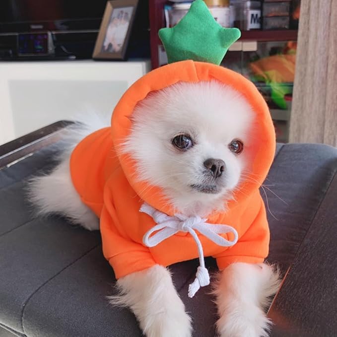 ANIAC Funny Pet Clothes for Small Dog Cat Carrot Hoodies Warm Sweatshirt Coat With Fruit Hood Fall Puppy Cat Sweater Halloween Easter Carrot Costume (Orange, X-Small)