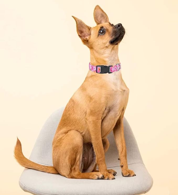 Dog Collar, Adjustable Dog Collar for Small Medium Large Dogs, Cute Puppy Collar for Boy and Girl Dogs, Cute Design for Boys Girls Male Female Dog Pet Collar(Pink Floral,S)