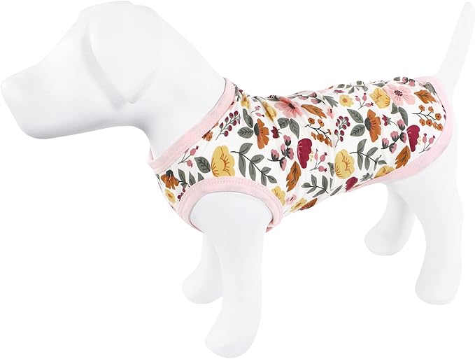 Luvable Friends Dog Pet Dog and Cats Cotton T-Shirts 2pk, Botanical Heart, Medium