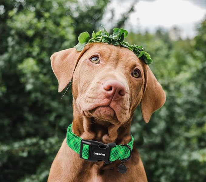 DOGWONG St. Patrick's Day Dog Collar, Green Plaid Dog Collar Soft Durable Adjustable Costume St. Patrick's Day Green Grid Puppy Collar for Small Medium Large Dog