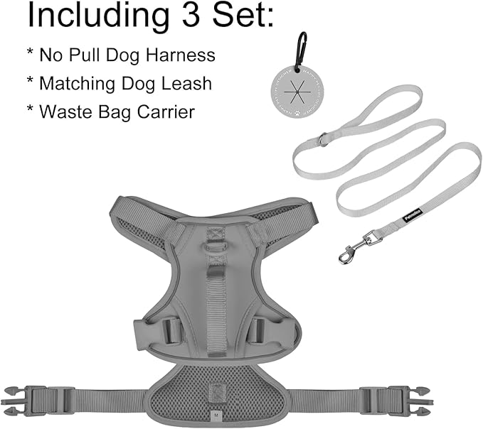 Petmolico Dog Harness for Small Dogs, Cute Harness Vest with Two Leash Clips and Soft Handle, Reflective Easy Walk Puppy Vest - Grey, Medium