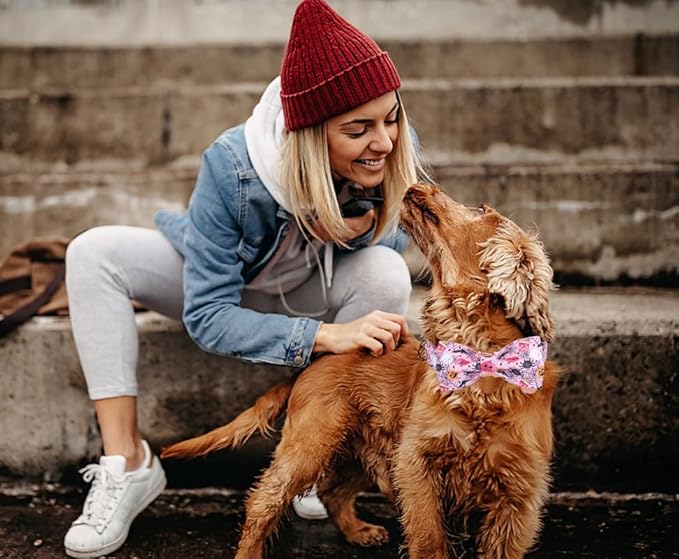 DOGWONG Fall Dog Collar with Bowtie - Pink Fall Dog Collar Soft Cotton Autumn Dogs Necklace - Halloween Puppy Necklace for Small Medium Large Dogs