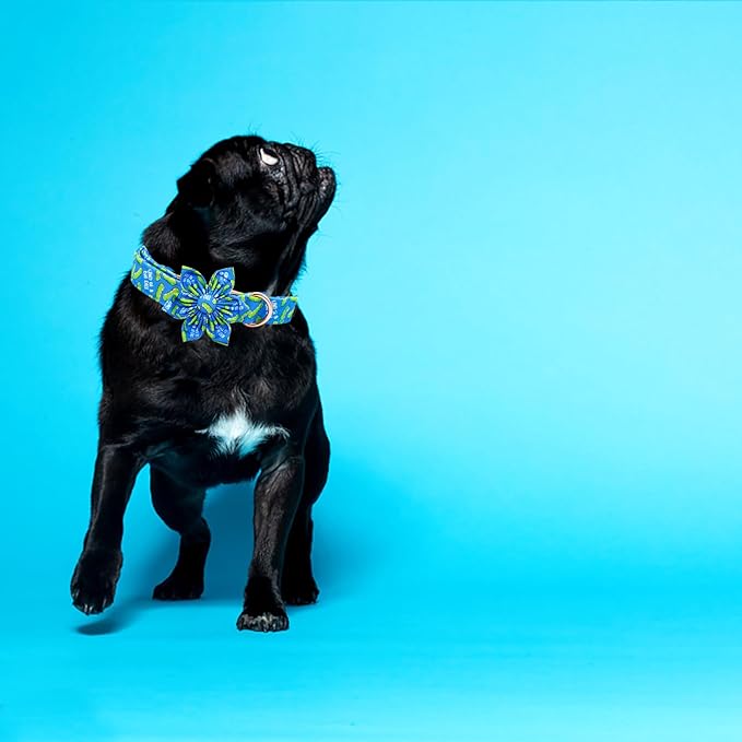 Elegant little tail Dog Collar, Dog Collar with Flower Boy Girl Pet Collar Flowers Soft Durable Dog Flower Collar for Large Dogs