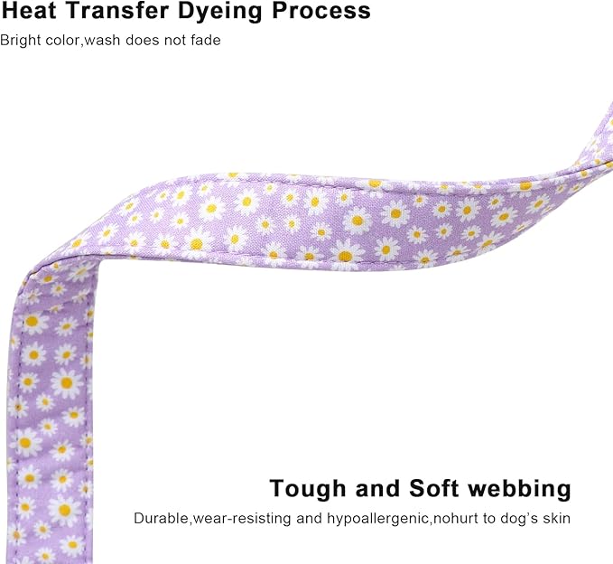 Lionet Paws Floral Dog Collar- Cute Daisy Purple Dog Collars with Plastic Buckle, Light Adjustable Dog Collars for Medium Dogs