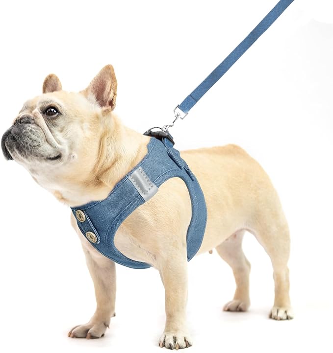 PUPTECK Dog Harness and Leash Set for Small Medium Dogs No Pull Step-in Soft Mesh Puppy Cat Vest Harnesses Reflective at Night, Denim Steelblue S