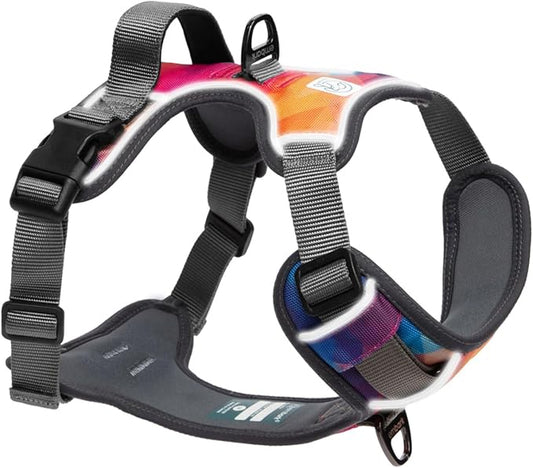 Embark Adventure Dog Harness, Reflective Trim No Pull Dog Harness for Large Dogs - Military Grade Nylon, Front Clip with Gel Lined Handle. Soft & Padded Puppy