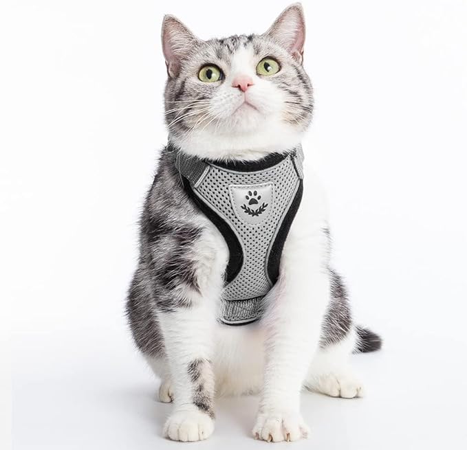 PUPTECK Cat Harness and Leash Set Escape Proof Reflective Cat Walking Harness Adjustable Soft Breathable Mesh Vest for Small Pets, Grey, M