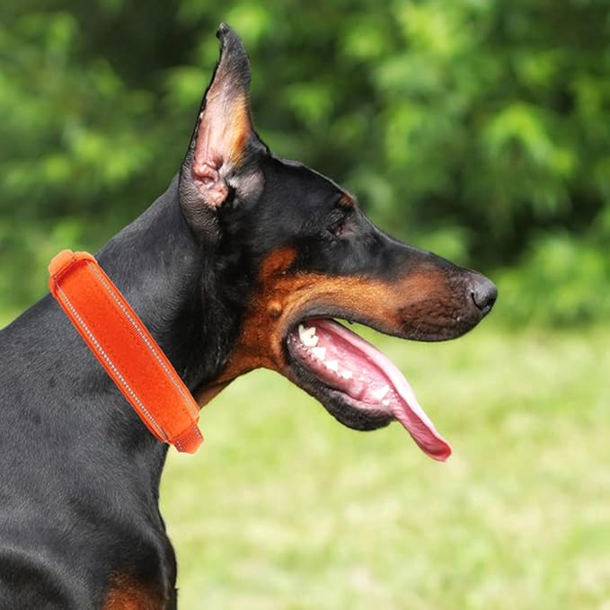 Tactical Dog Collar with Heavy Duty Metal Buckle and Control Handle for Medium Large Dogs Training(Orange, X-Large)
