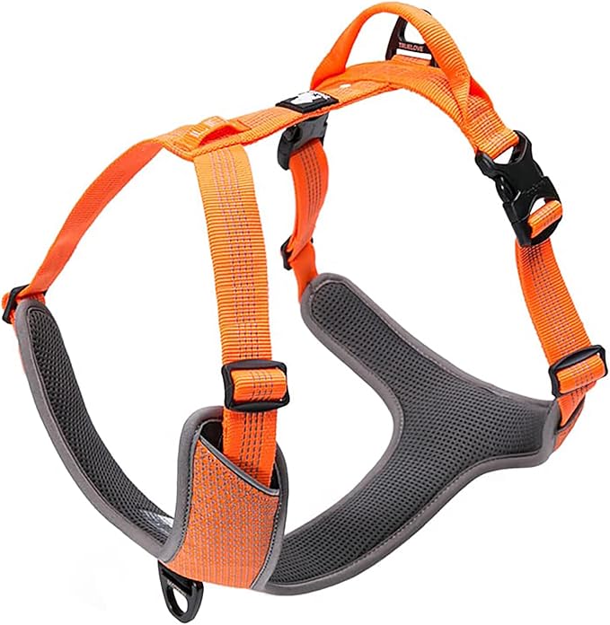 TRUE LOVE Dog Harness Outdoor Adventure II Reflective Vest with 2 Leash Attachments Matching Leash and Collar Available TLH6071