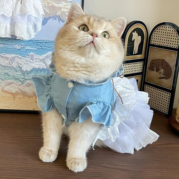 Girl Dog Denim Dress with Flared Sleeves Dog Jeans Jacket Blue White Puppy Clothes for Small Dogs Cat Apparel Cake Skirt Pet Outfit (Blue, X-Small)