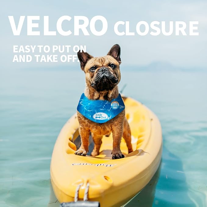 ALL FOR PAWS Cooling Neck Wraps for Dogs,Ice Dog Bandanas,Do g Cooling Bandana,Chill Out Blue Do g Collar Neck Cooler (XL)