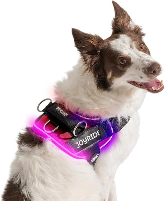 Joyride Harness LED Light Up Dog Harness 2.0 - Patent Pending Design, 3 LED Modes, Vibrant Rechargeable Lighting, Customizable Name Tag Area, and Convenient On/Off Button for Enhanced Pet Safety