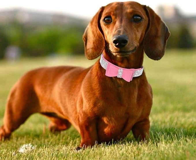 Small Dog Collars for Female Dogs, Cute Bling Rhinestone Crystal with Bow Tie Glitter Diamond Bowtie Puppy Collars for XXS XS Small Medium Large Pet Girls Dogs Cats(S, Pink-1)