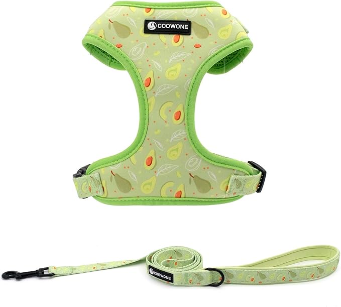 Dog Harness and Leash Set, Adjustable Dog Harness, Dog Leash, No Pull No Choke Puppy Harnesses for Walking Training for Small, Medium, Large Pet