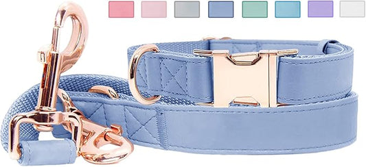 Soft Leather Dog Collar and Leash (6.6') Set - Stylish Rose Gold Heavy Duty Metal Buckle, 4 Adjustable Lengths Leash for Small Medium Large Dogs - Comfortable & Easy to Clean BluePurple M(13.8"-19.7")