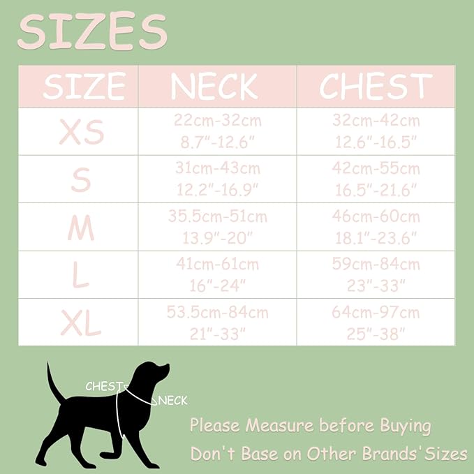 No Pull Dog Harness Adjustable Soft Padded Pet Vest with Control Handle Adorable Daily Harness for Dogs（Mint Green L）