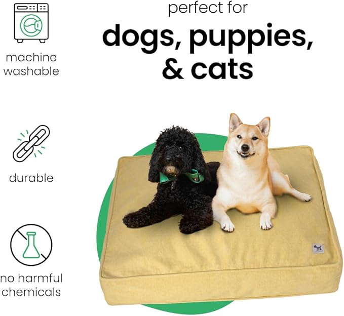 Molly Mutt Elysium Dog Bed Duvet Cover, GOTS-Certified 100% Cotton Canvas Cover for Dog, Puppy, or Cat Bed, Durable, Washable, and Free of Harmful Chemicals, Medium/Large, 27"x36"x5", Yellow