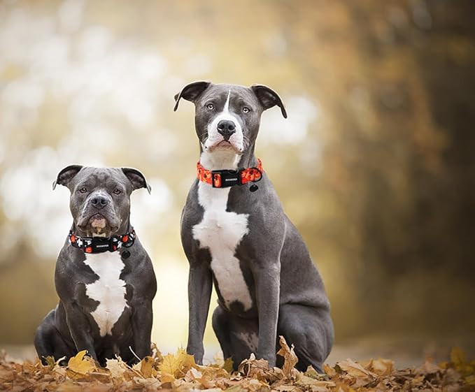 DOGWONG Cotton Dog Collar, Heavy-Duty Fall Dog Collar Durable Soft Fabric Pet Dog Collars Cute Halloween Puppy Necklace for Small Medium Large Dogs