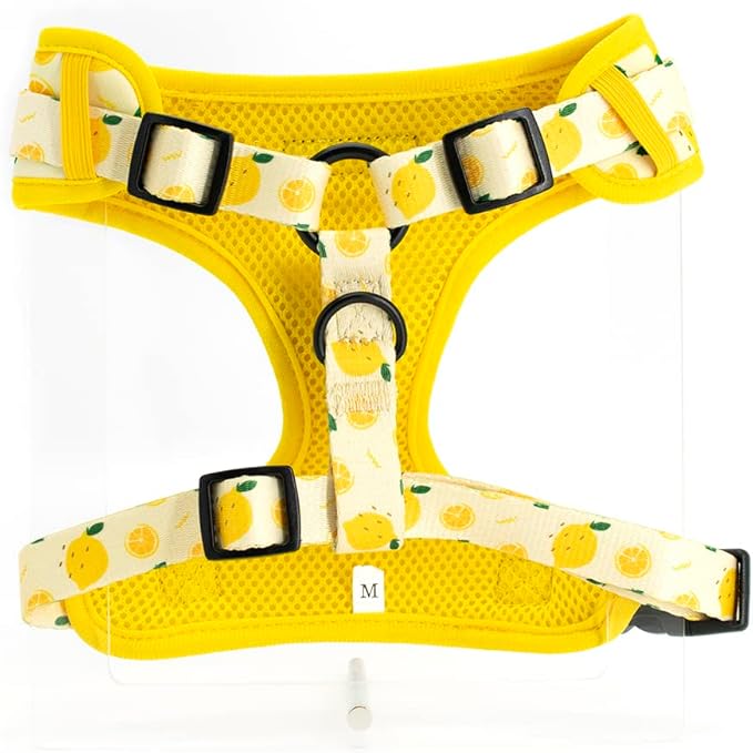 Dog Harness and Leash Set, Adjustable Dog Harness, Dog Leash, No Pull No Choke Puppy Harnesses for Walking Training for Small, Medium, Large Pet