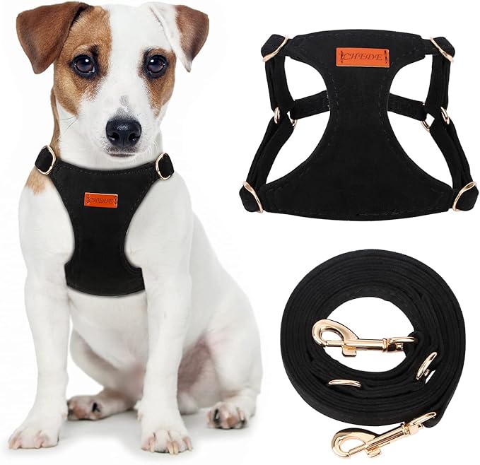 CHEDE No Pull Puppy Harness and Multifunction Dog Leash Set- 8 Colors Soft Adjustable No Choke Escape Proof Cute,Lightweight Pet Vest Harness for Small and Medium Dog (S, Black)