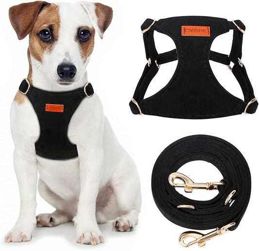 CHEDE No Pull Puppy Harness and Multifunction Dog Leash Set- 8 Colors Soft Adjustable No Choke Escape Proof Cute,Lightweight Pet Vest Harness for Small and Medium Dog (M, Black)