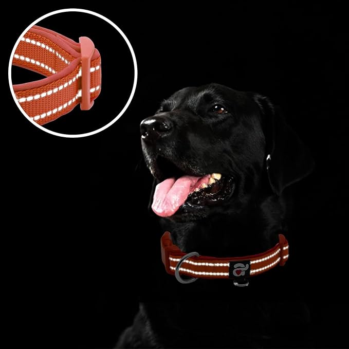 azuza Reflective Dog Collar, Soft Neoprene Padded Pet Collar with ID Tag Ring, Adjustable for Large Dogs,Rust Red,L