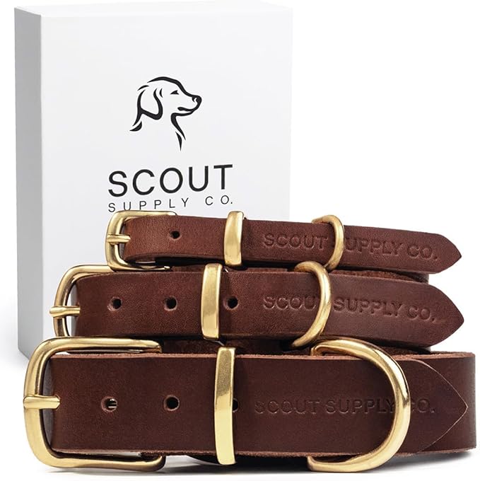 Scout Supply Classic Leather Dog Collar | Heavy Duty Thick Full Grain Leather | Waterproof & Rust-Proof Brass Hardware (Dark Brown, Extra Large)