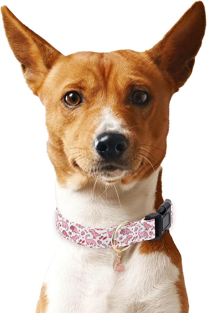 Cotton Dog Collar,Soft and Cute Puppy Collars with Pink Dinosaur Patterned Design for Girl Female Boy Dogs,Adjustable Buckle Pet Collar for Small Medium Large Dogs (Pink Dinosaur, L)
