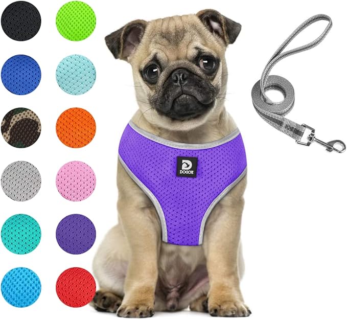 Puppy Harness and Leash Set - Dog Vest Harness for Small Dogs Medium Dogs- Adjustable Reflective Step in Harness for Dogs - Soft Mesh Comfort Fit No Pull No Choke (M, Purple)