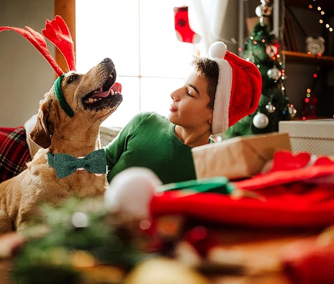 DOGWONG Hemp Cotton Dog Collar with Bow, Christmas Green Pet Collar Durable Adjustable Puppy Collar for Large Dogs