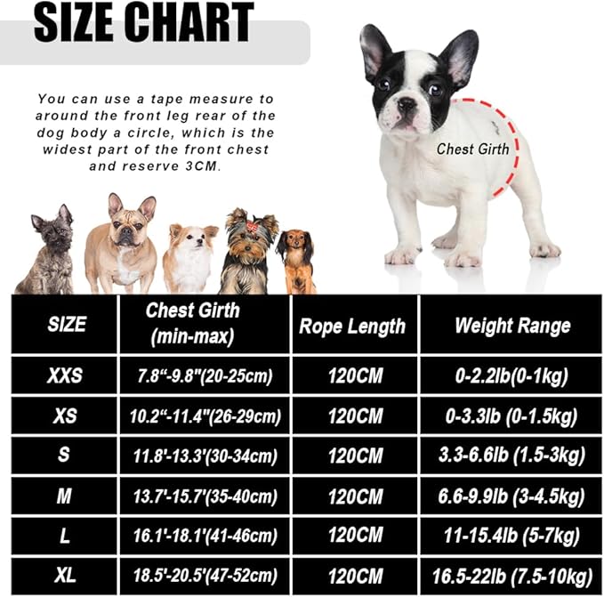 FEimaX Dog Harness and Leash Set for Walking, Soft Mesh Adjustable Easy Control Lightweight Cat Vest Harnesses with Reflective Strips, Escape Proof Small Dogs Cats Vests (Grey, Large)