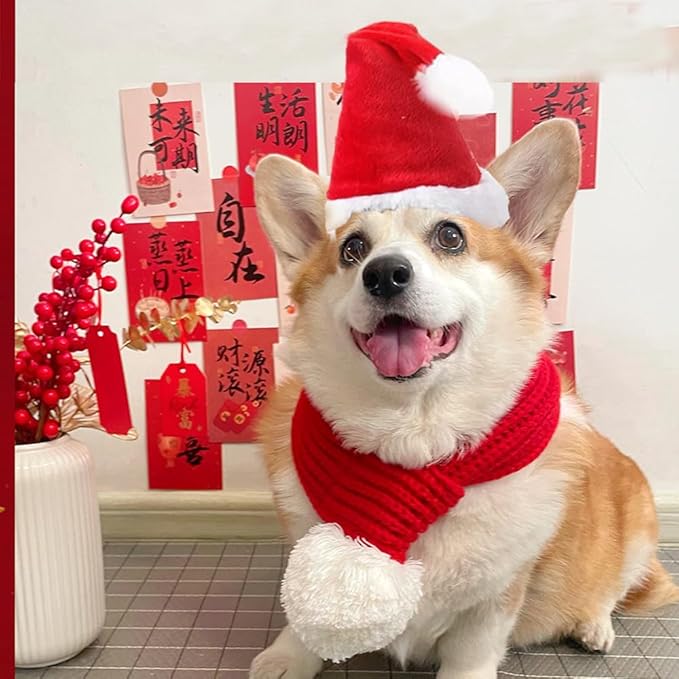 ANIAC Cat Santa Hat with Scarf Dog Xmas Cap Puppy Christmas Costume Pet Warm Headgear Doggy Neck Accessories for Cats and Small Dogs(Small)