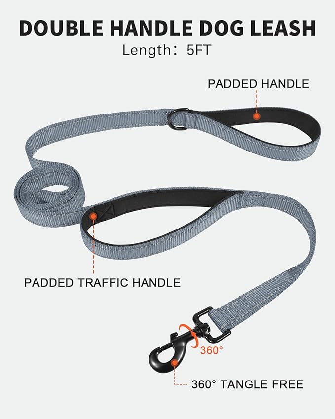 FunTags Reflective Martingale Collar for Dogs, Quick Release Buckle, 5FT Double Handle Dog Leash Padded, Dog Collar and Leash Set, Adjustable for Puppy Dogs (Grey, XS)