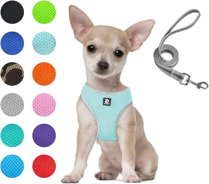 Puppy Harness and Leash Set - Dog Vest Harness for Small Dogs Medium Dogs- Adjustable Reflective Step in Harness for Dogs, Cats - Soft Mesh Comfort Fit No Pull No Choke (S, Mint Green)