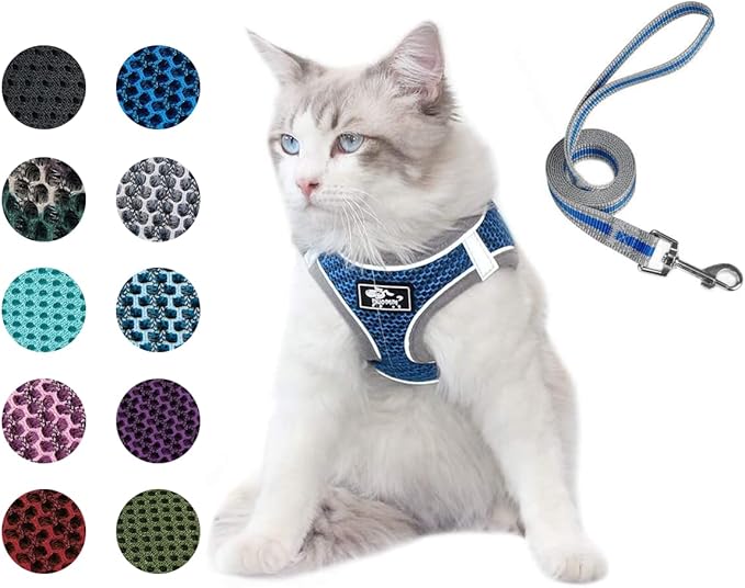 Dog and Cat Universal Harness with Leash - Cat Harness Escape Proof - Adjustable Reflective Step in Dog Harness for Small Dogs Medium Dogs - Soft Mesh Comfort Fit No Pull No Choke, Blue, L